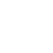 Technion